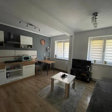 W Centrum Cichy Zakatek Appartement Gliwice